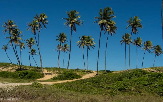 Praia de Arembepe