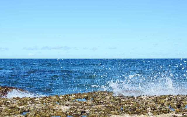 Praia de Arembepe