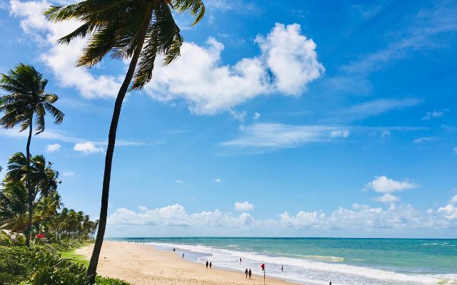 Praia de Guarajuba