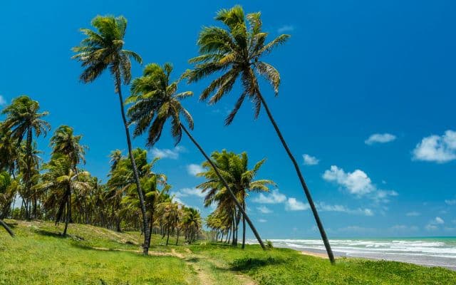 Praia de Imabassaí